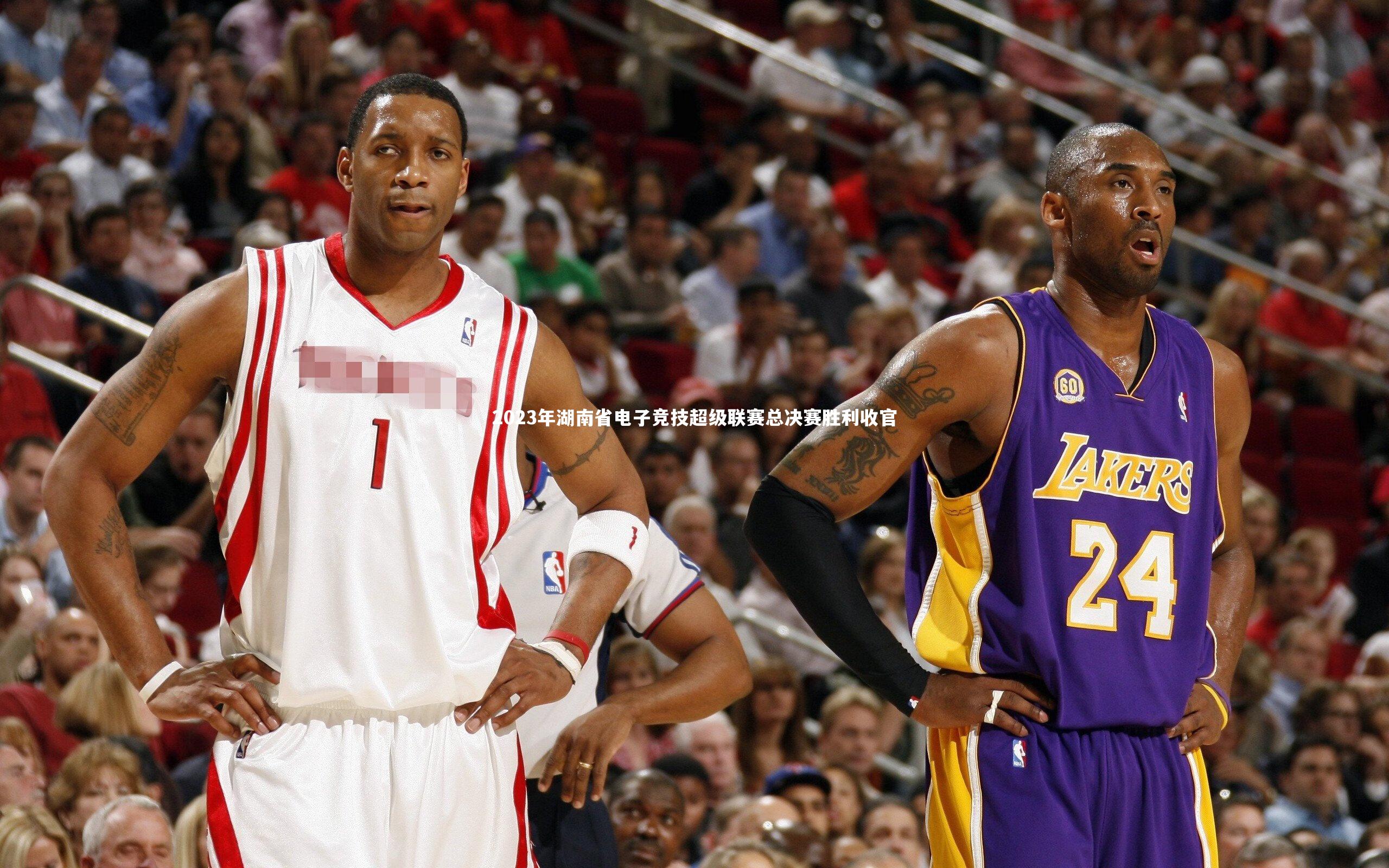 2023年湖南省电子竞技超级联赛总决赛胜利收官